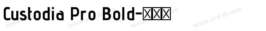 Custodia Pro Bold字体转换